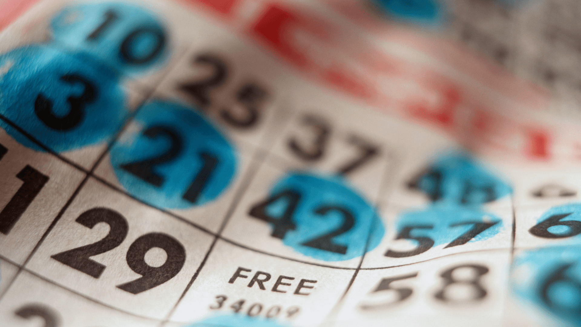 Tutto sulle carte e le chiamate del bingo online image