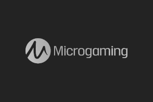 I migliori 10 Casinò Online Microgaming
