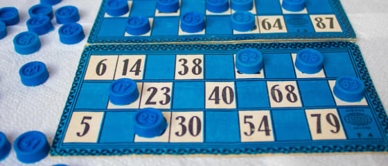 Quanti tipi di bingo online ci sono nei casinò online