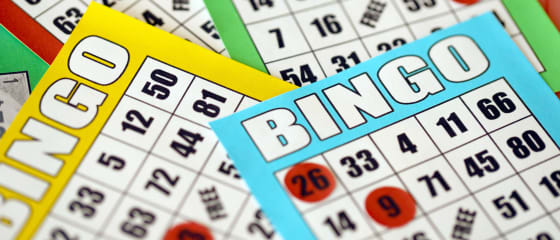 Impara a giocare a bingo online