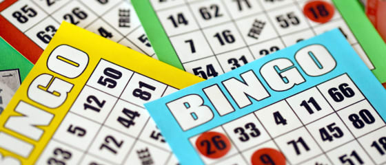 Impara a giocare a bingo online